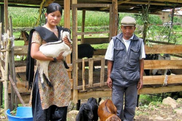 A woman and man holding sheep in their hands.