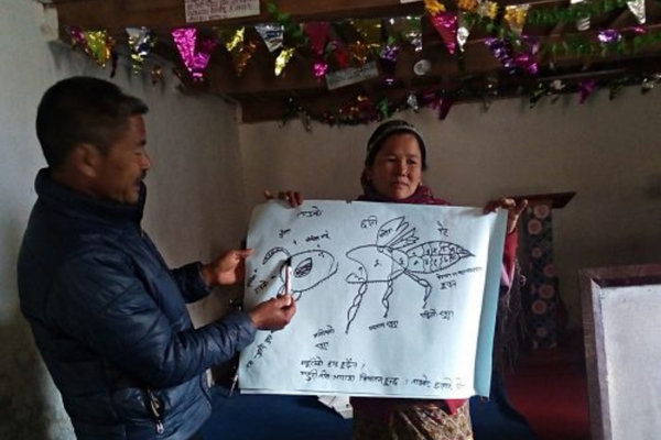 Himalayan teachers explaining bee parts before a class