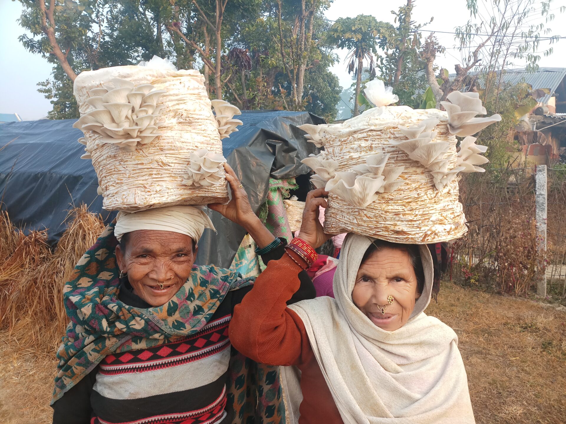 Two women are carrying food on their heads.